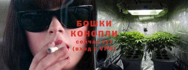 spice Бородино