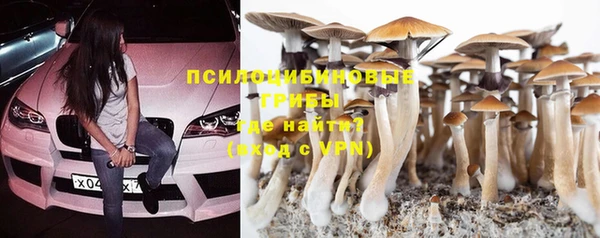 круглые Белокуриха