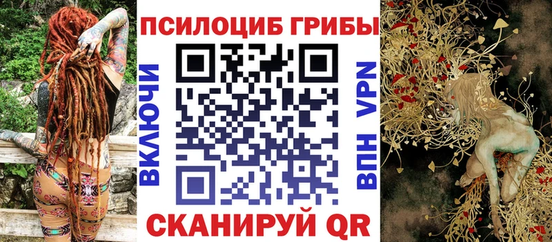 Купить где  Рославль  Псилоцибиновые грибы Psilocybine cubensis 